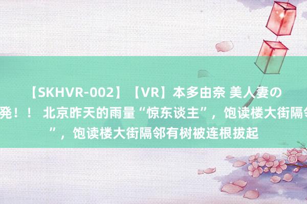 【SKHVR-002】【VR】本多由奈 美人妻の肉体エロ奉仕3連発！！ 北京昨天的雨量“惊东谈主”，饱读楼大街隔邻有树被连根拔起