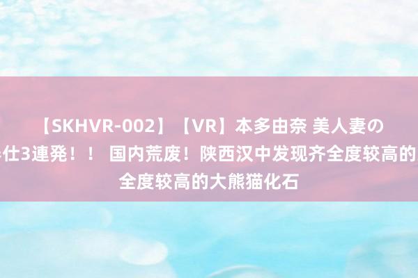 【SKHVR-002】【VR】本多由奈 美人妻の肉体エロ奉仕3連発！！ 国内荒废！陕西汉中发现齐全度较高的大熊猫化石