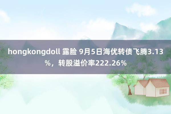 hongkongdoll 露脸 9月5日海优转债飞腾3.13%，转股溢价率222.26%