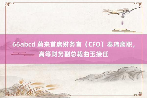 66abcd 蔚来首席财务官（CFO）奉玮离职，高等财务副总裁曲玉接任