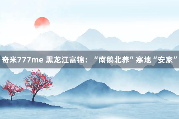 奇米777me 黑龙江富锦：“南鹅北养”寒地“安家”