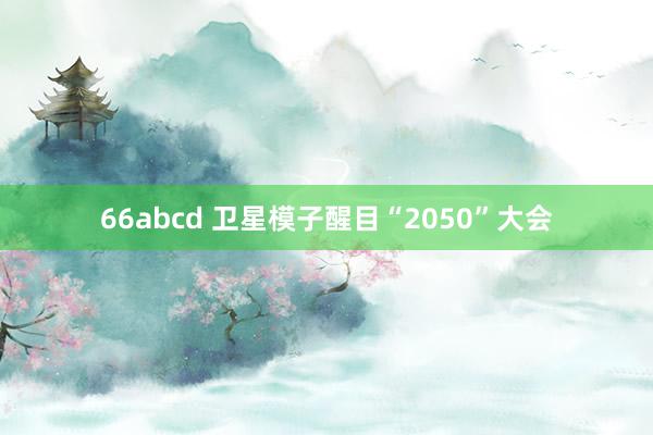 66abcd 卫星模子醒目“2050”大会