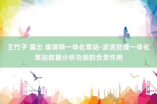 王竹子 露出 玻璃钢一体化泵站-淤泥处理一体化泵站数据分析功能的负责作用
