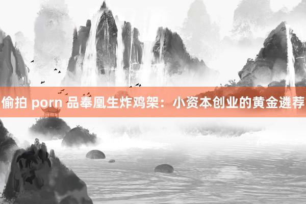 偷拍 porn 品奉凰生炸鸡架：小资本创业的黄金遴荐