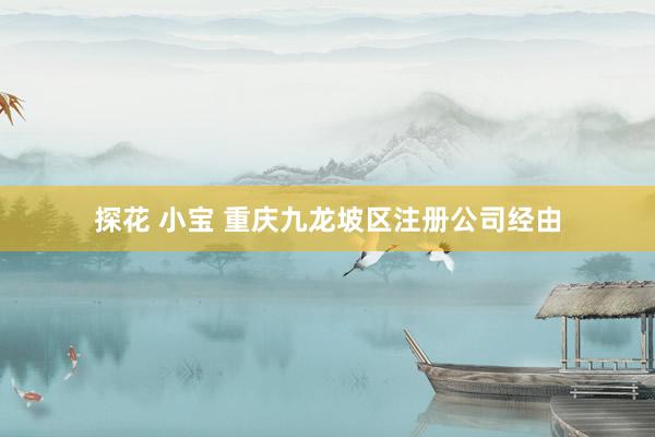 探花 小宝 重庆九龙坡区注册公司经由