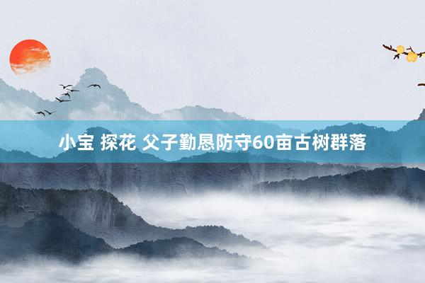 小宝 探花 父子勤恳防守60亩古树群落