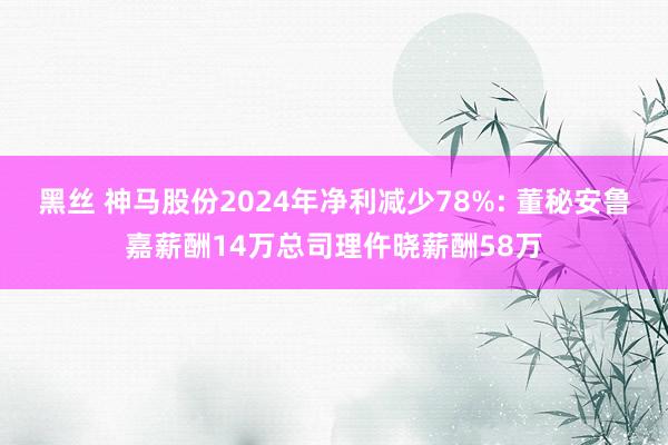 黑丝 神马股份2024年净利减少78%: 董秘安鲁嘉薪酬14