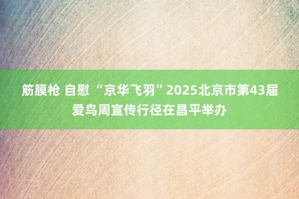 筋膜枪 自慰 “京华飞羽”2025北京市第43届爱鸟周宣传行
