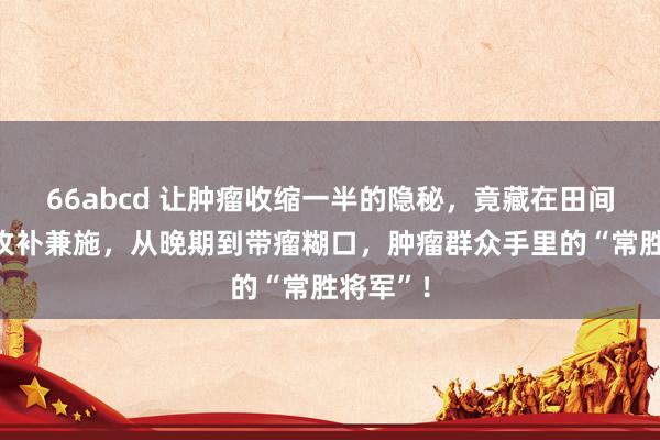 66abcd 让肿瘤收缩一半的隐秘，竟藏在田间地头！攻补兼施