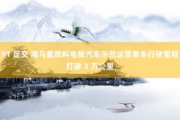 91 足交 海马氢燃料电板汽车示范运营单车行驶里程打破 3 