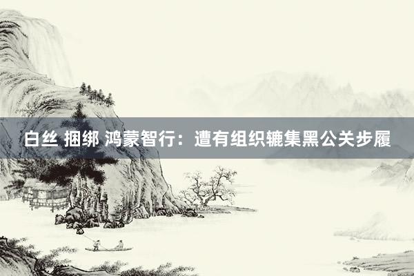 白丝 捆绑 鸿蒙智行：遭有组织辘集黑公关步履